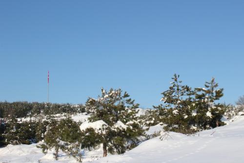 IMG 3563