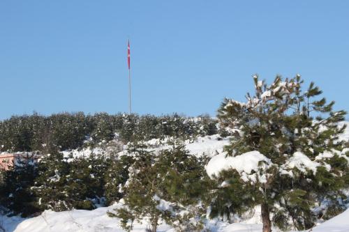 IMG 3564
